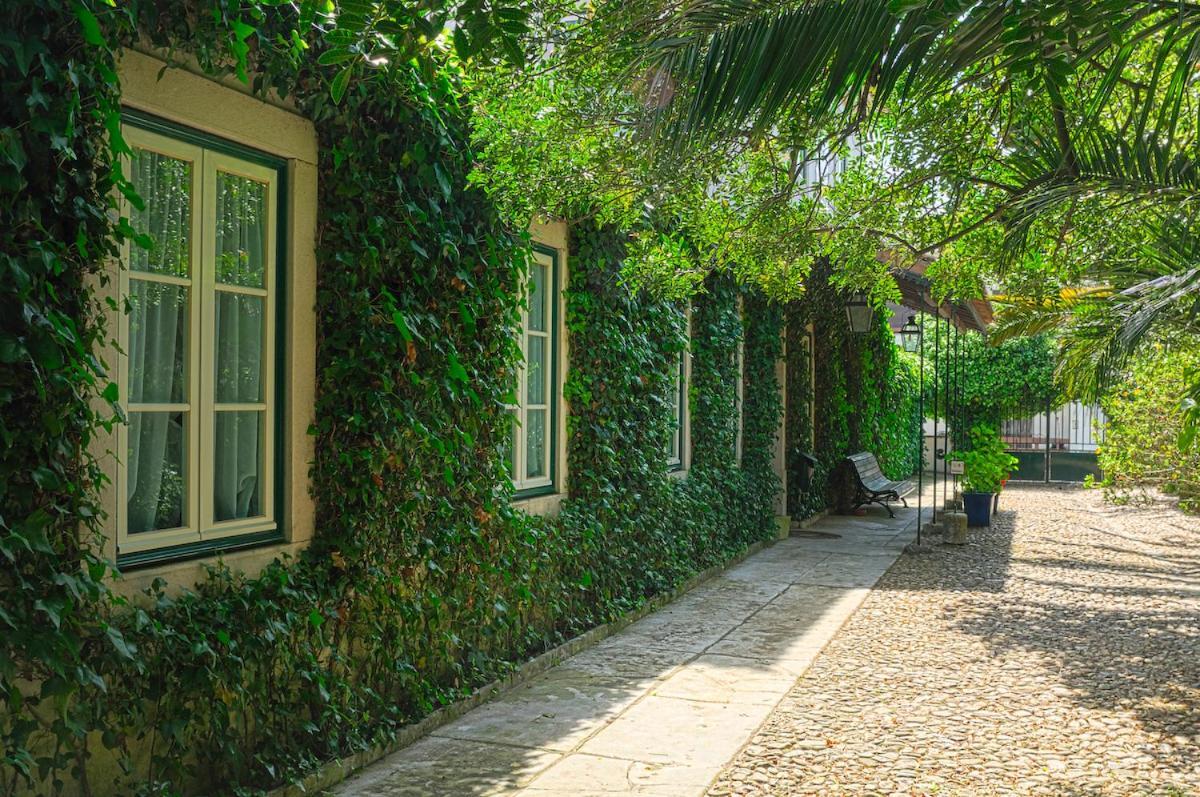 Casa Do Foral Guest House Rio Maior Ngoại thất bức ảnh